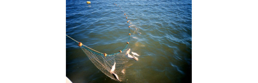 Complete mono fishing nets
